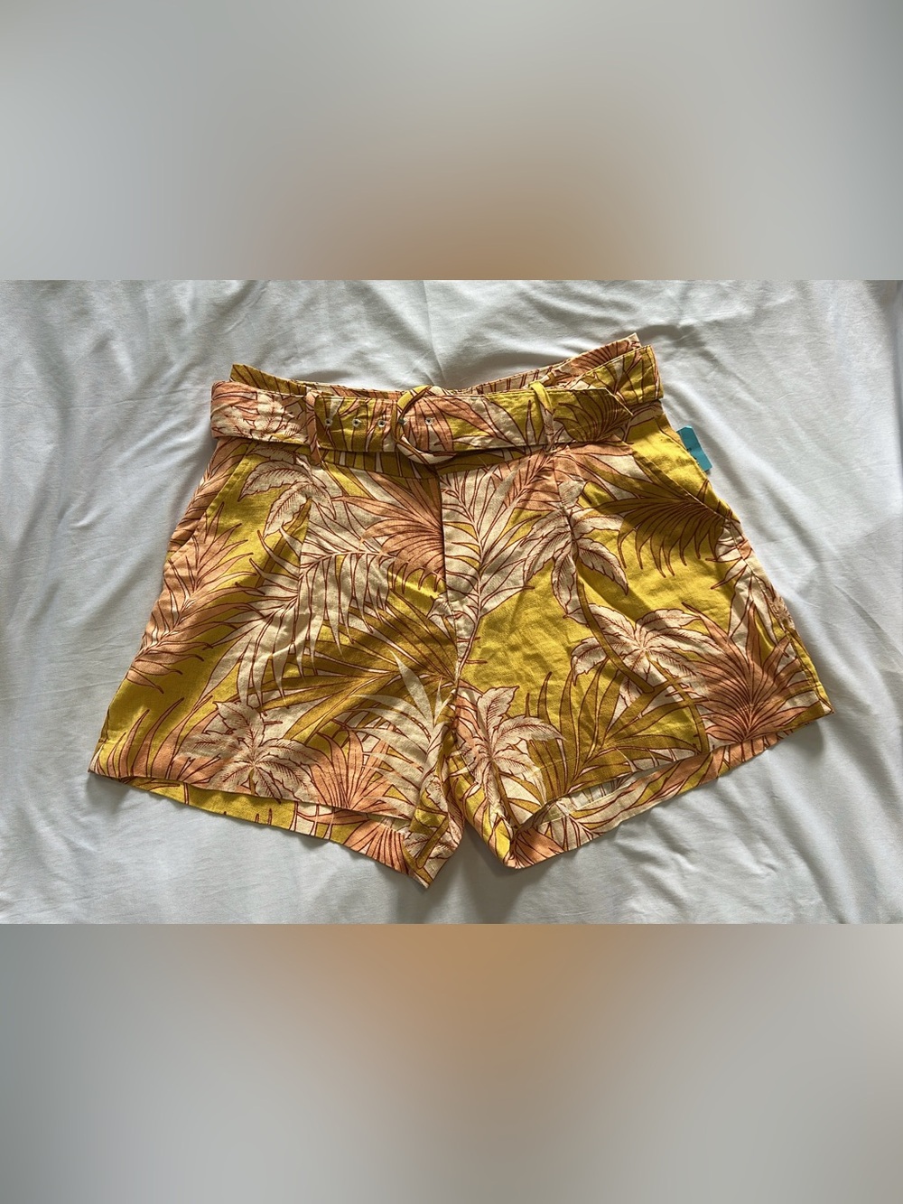 Tahari Shorts